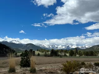 Photo #2: 1000271 Listing