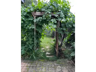 Photo #6: 1001764 Listing