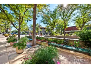 Photo #4: 1001935 Listing