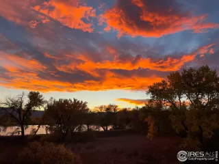 Photo #1: 1002811 Listing