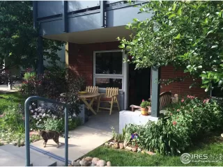 Photo #1: 1004287 Listing