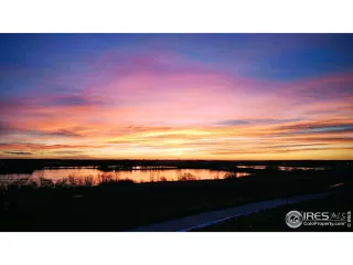 Photo #1: 1006050 Listing