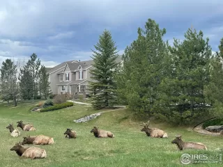 Photo #2: 1006319 Listing