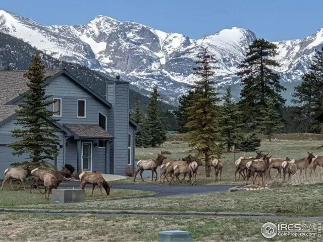 MLS: 1006942 Condo For Sale