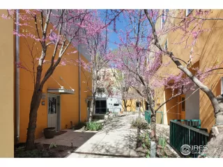 Photo #2: 1009394 Listing 