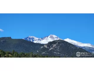 Photo #1: 1009784 Listing