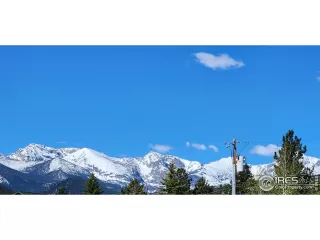 Photo #3: 1009784 Listing