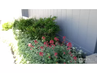 Photo #3: 1012343 Listing