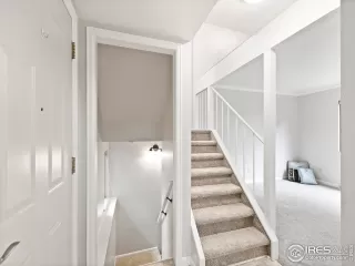 Photo #1: 1013619 Listing