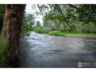 Photo #2: 1014802 Listing