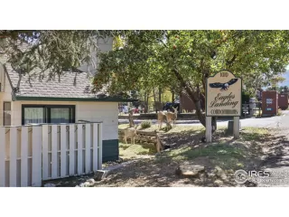 More Details about MLS # 1024553 : 1010 S SAINT VRAIN AVE D-4 ESTES PARK CO 80517
