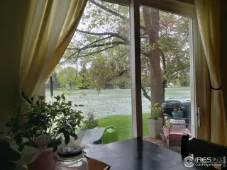 Photo #1: 1026102 Listing 