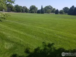 Photo #4: 1026102 Listing 