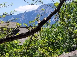 Photo #2: 1026647 Listing