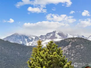 Photo #1: 1027487 Listing