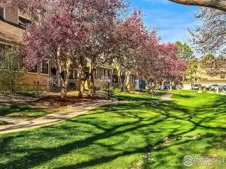 Photo #2: 1029120 Listing