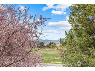 Photo #2: 1031355 Listing 