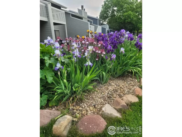 MLS: 1032378 Condo For Sale