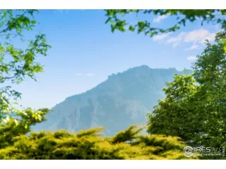 Photo #4: 1034661 Listing 