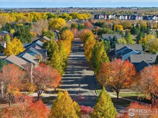 Photo #3: 1034716 Listing