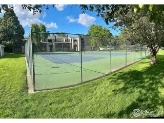 Photo #5: 1036503 Listing