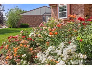 Photo #1: 1037715 Listing