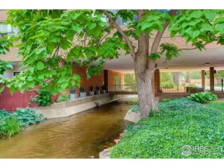 Photo #5: 1039499 Listing