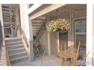 Photo #5: 1041134 Listing