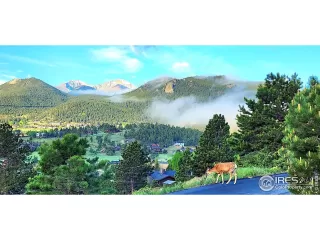 Photo #2: 1041361 Listing 