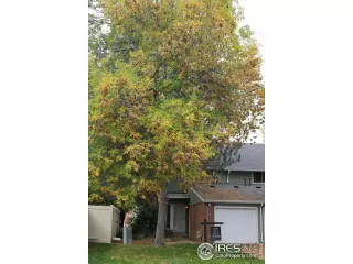 Photo #2: 1045434 Listing 