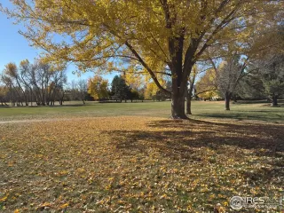 Photo #2: 1046517 Listing