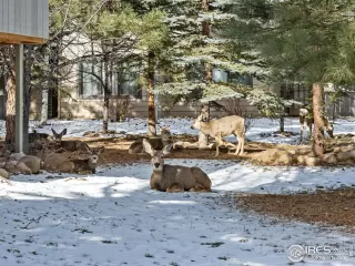 Photo #4: 1050200 Listing 