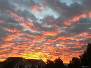 Photo #5: 1673896 Listing