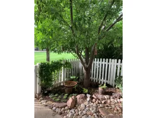 Photo #2: 1780311 Listing