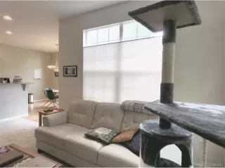 Photo #2: 1819287 Listing