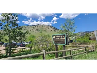 Photo #4: 2529326 Listing 