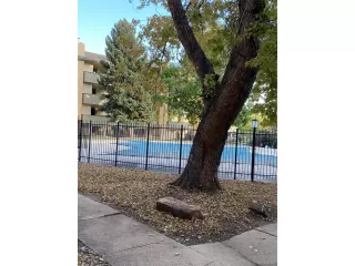 Photo #1: 2829495 Listing