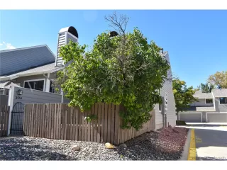 Photo #1: 3119395 Listing 