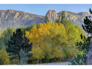 Photo #4: 3293376 Listing