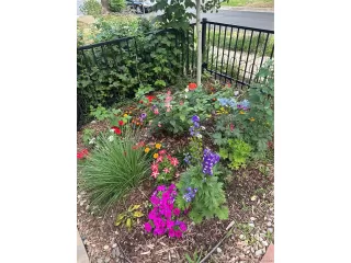 Photo #4: 3605276 Listing