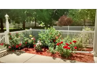 Photo #1: 4232512 Listing