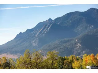 Photo #5: 4305372 Listing