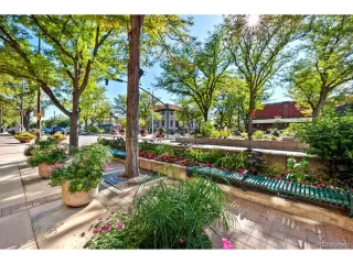 Photo #4: 4423419 Listing