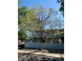 Photo #2: 4680750 Listing