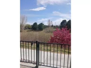 Photo #3: 4682565 Listing