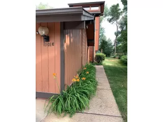 Photo #1: 4805678 Listing