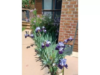 Photo #2: 4842257 Listing