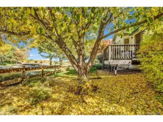 Photo #1: 5155797 Listing 