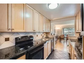 Photo #5: 5542387 Listing 