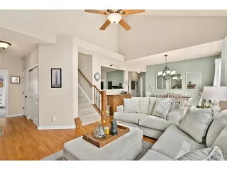 Photo #4: 5563113 Listing